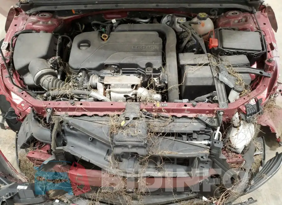 1G1ZG5ST3KF216912 Photo# 11