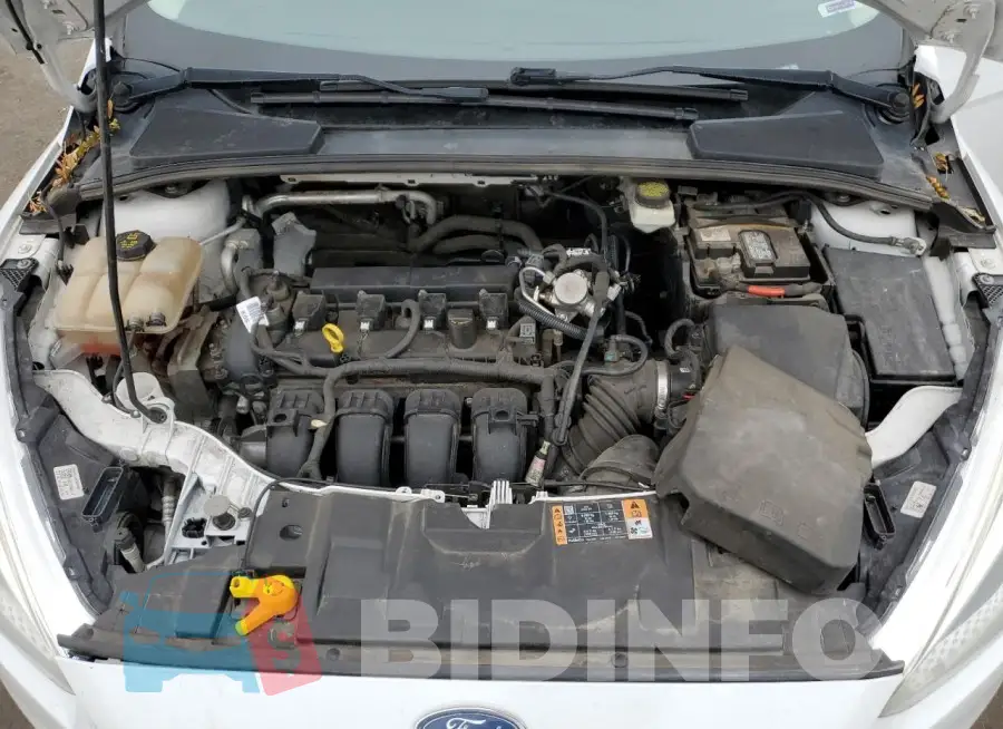 1FADP3E20HL235698 Photo# 11
