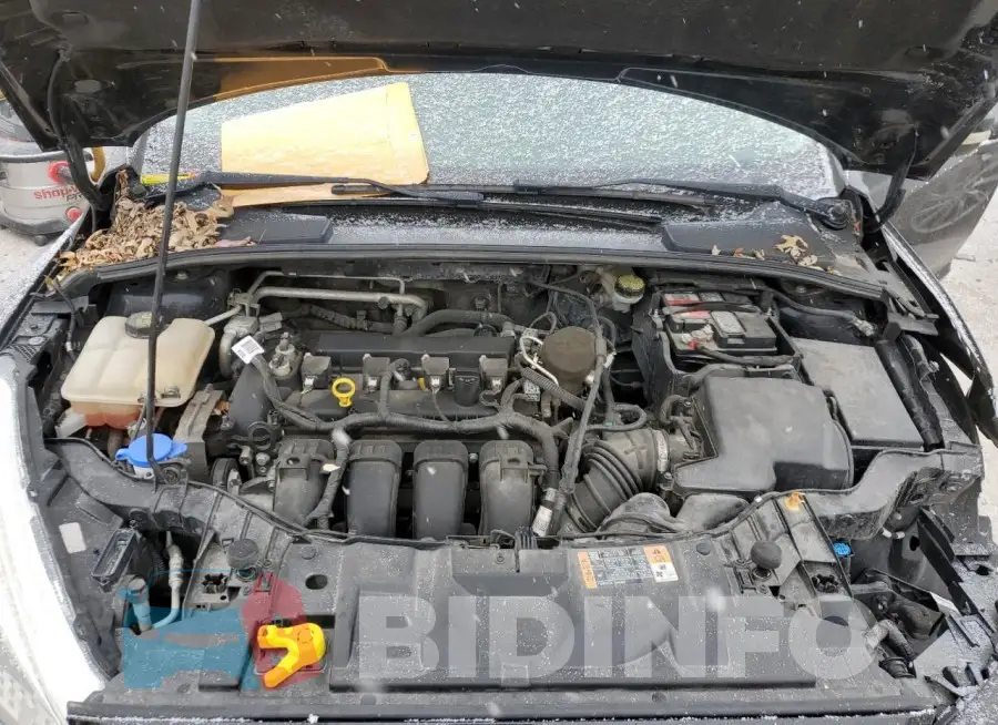 1FADP3F22GL285578 Photo# 11