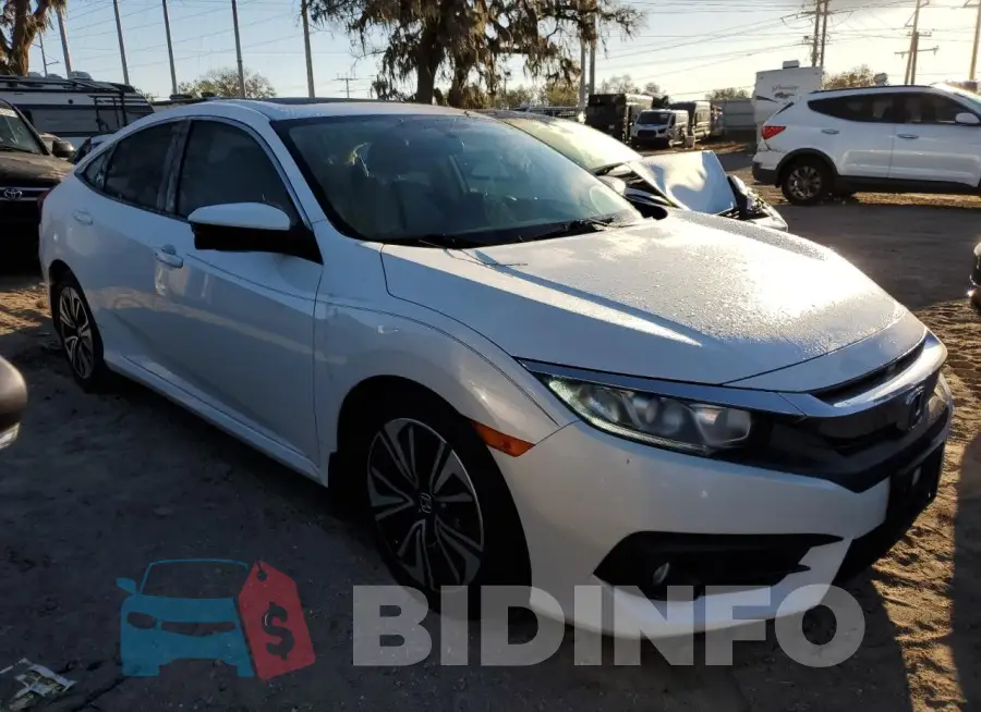 19XFC1F35GE024191 Photo# 4