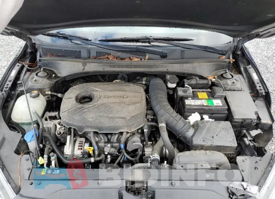 3KPF44AC4LE242977 Photo# 11