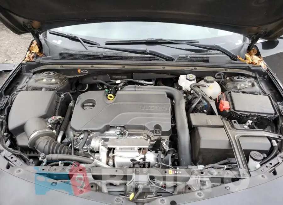 1G1ZD5ST3RF201572 Photo# 11