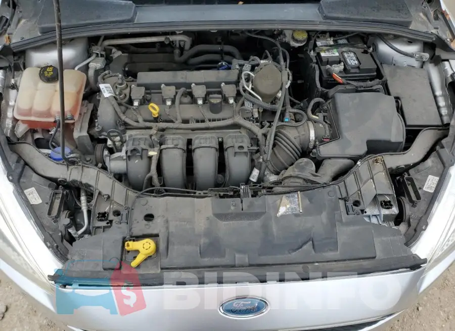 1FADP3E23GL220773 Photo# 11