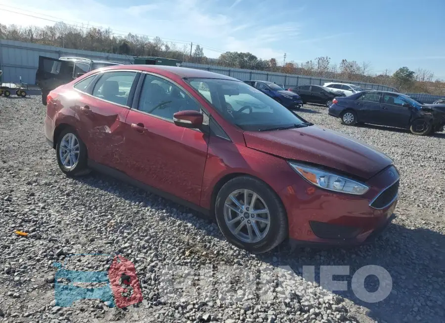 1FADP3F21GL389494 Photo# 4