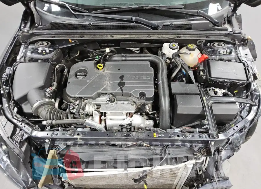 1G1ZD5ST7PF193537 Photo# 11