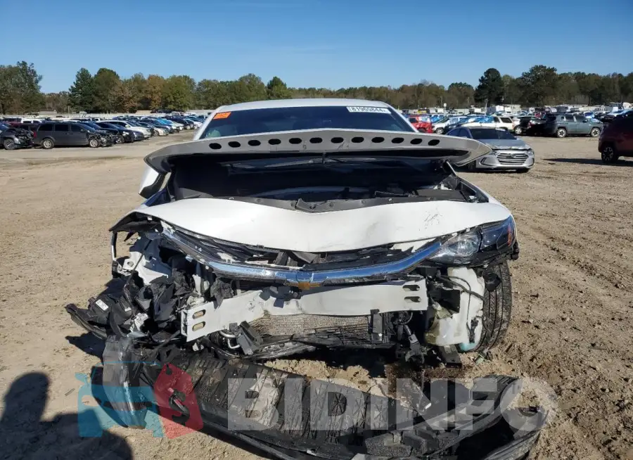 1G1ZD5ST5KF156334 Photo# 5