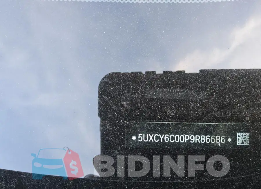5UXCY6C00P9R86686 Photo# 12