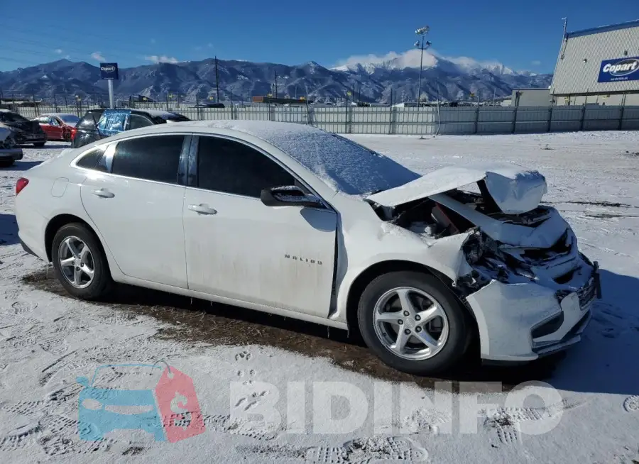 1G1ZB5ST8HF151627 Photo# 4