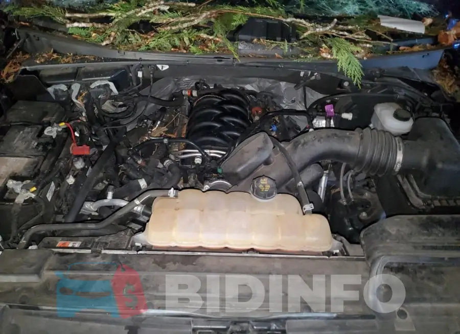 1FTEW1E50JFE50003 Photo# 11