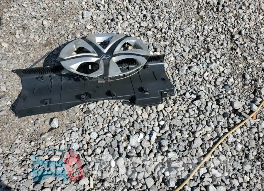 19XFC2F59GE034021 Photo# 12