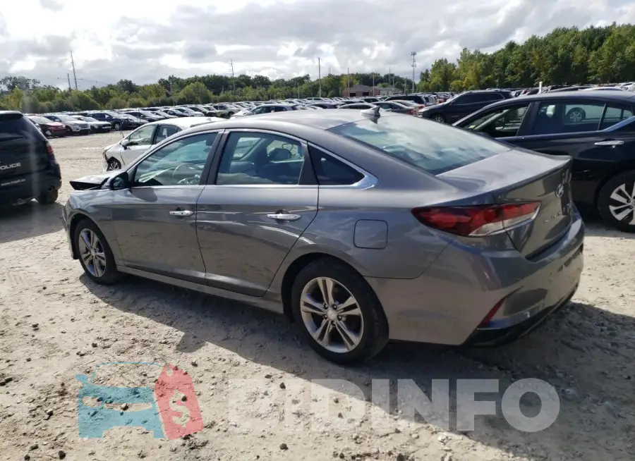 5NPE34AF7KH736074 Photo# 2