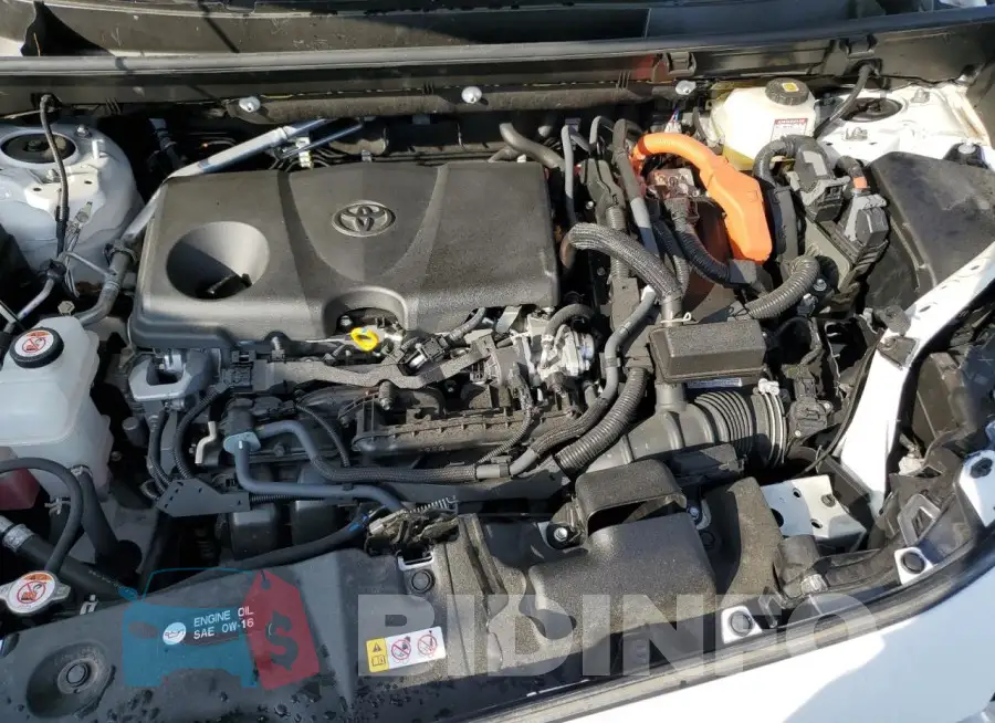 JTMRWRFV4PD187260 Photo# 12