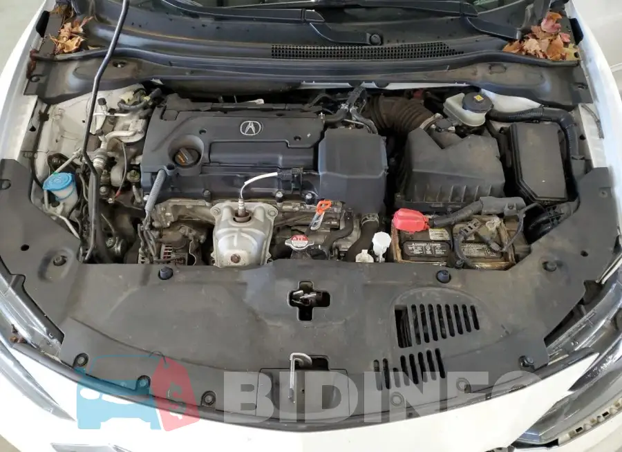 19UDE2F77KA001776 Photo# 11