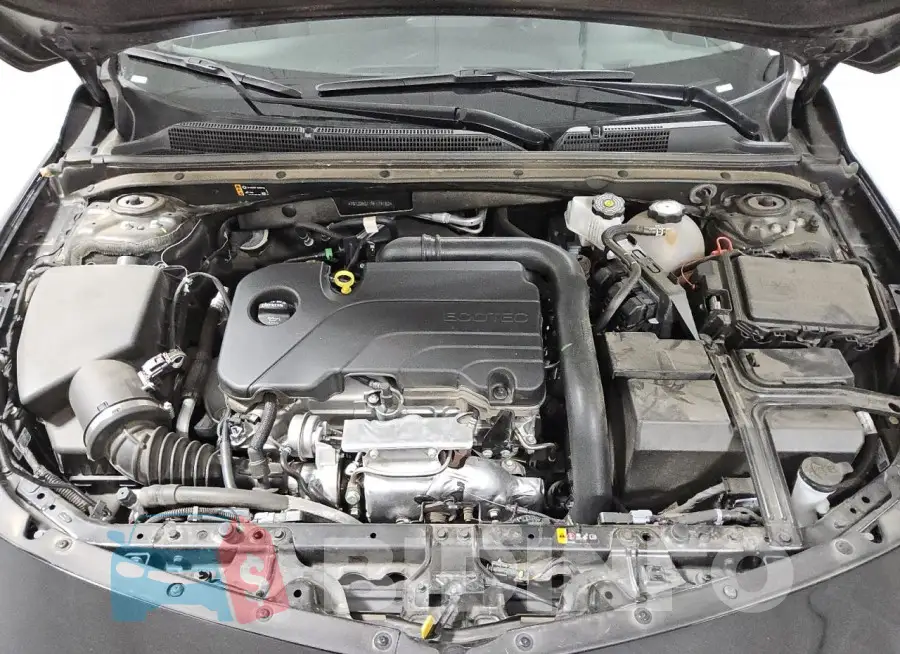 1G1ZD5ST1RF174162 Photo# 11