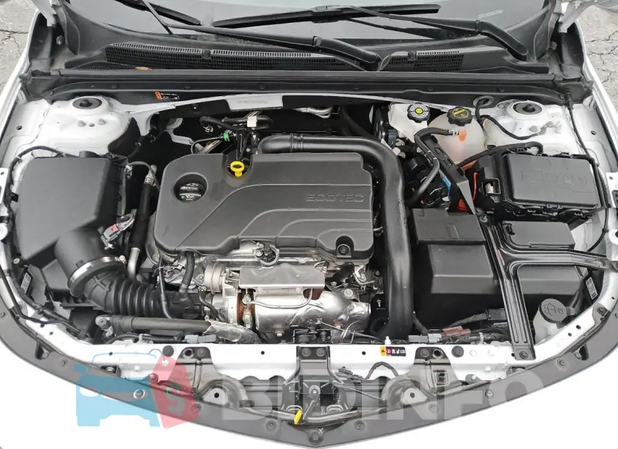 1G1ZD5ST2RF206519 Photo# 11