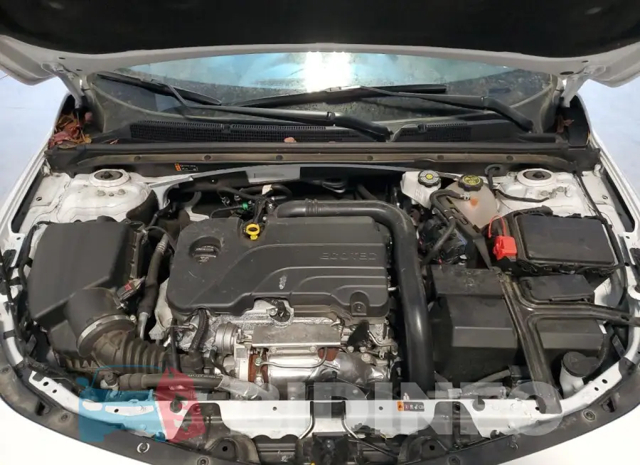 1G1ZD5ST7RF142719 Photo# 11