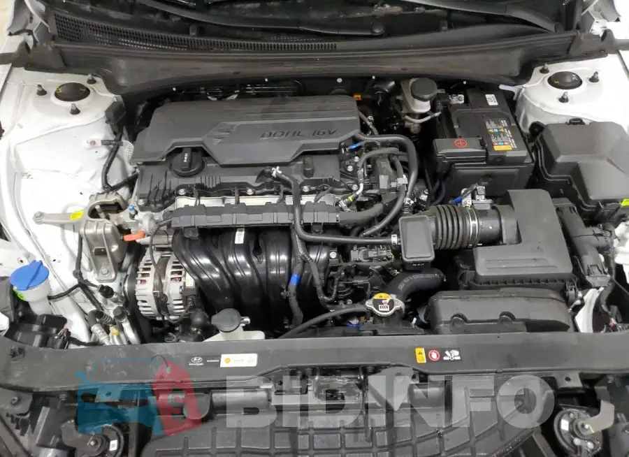KMHLM4DG3RU781064 Photo# 11