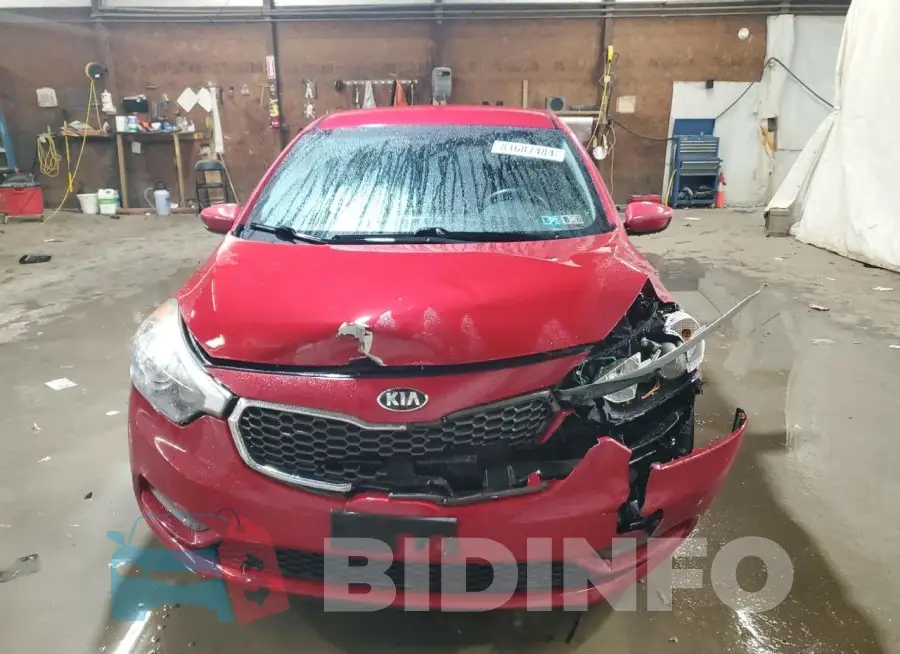 KNAFK4A69G5493167 Photo# 5