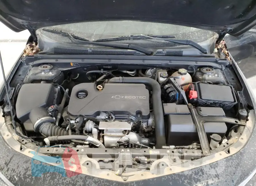 1G1ZE5ST5HF113974 Photo# 11