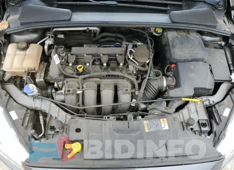 1FADP3F21GL219202 Photo# 11