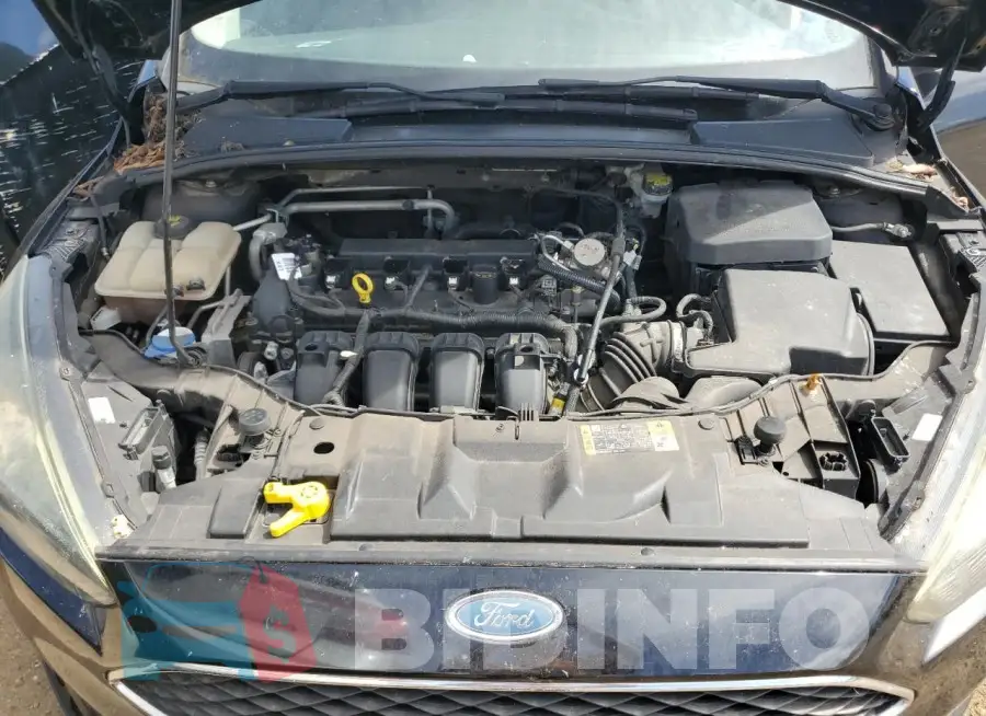 1FADP3K20GL367279 Photo# 11