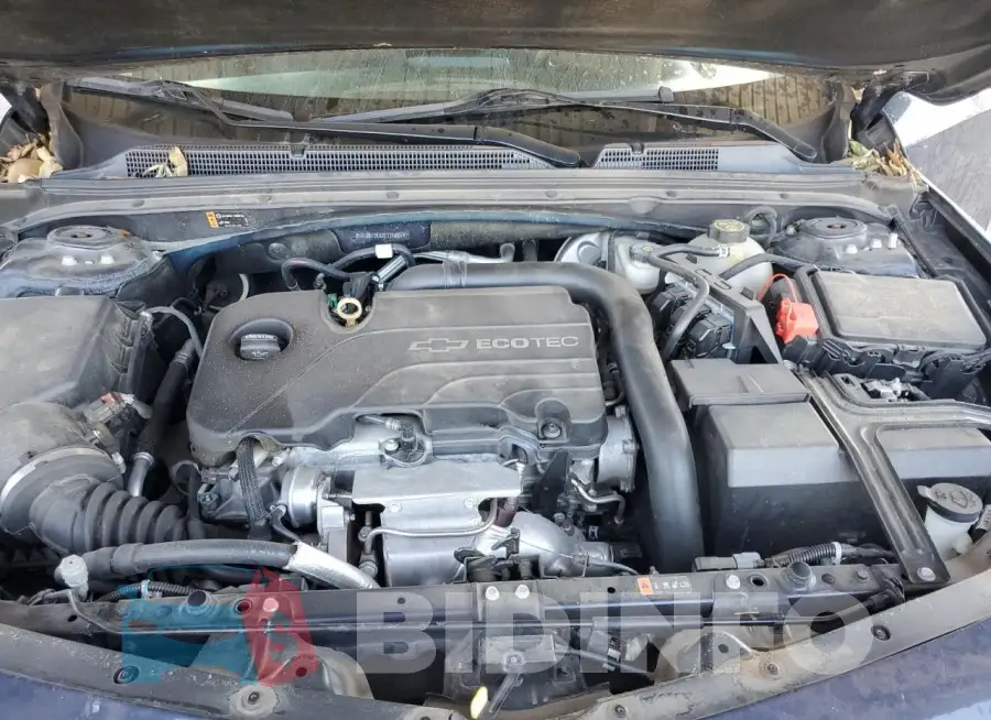 1G1ZB5ST6JF113884 Photo# 11