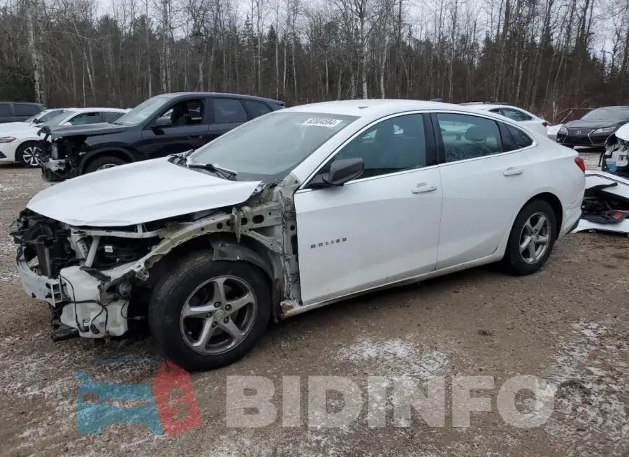 1G1ZB5ST7HF100345 Photo# 1