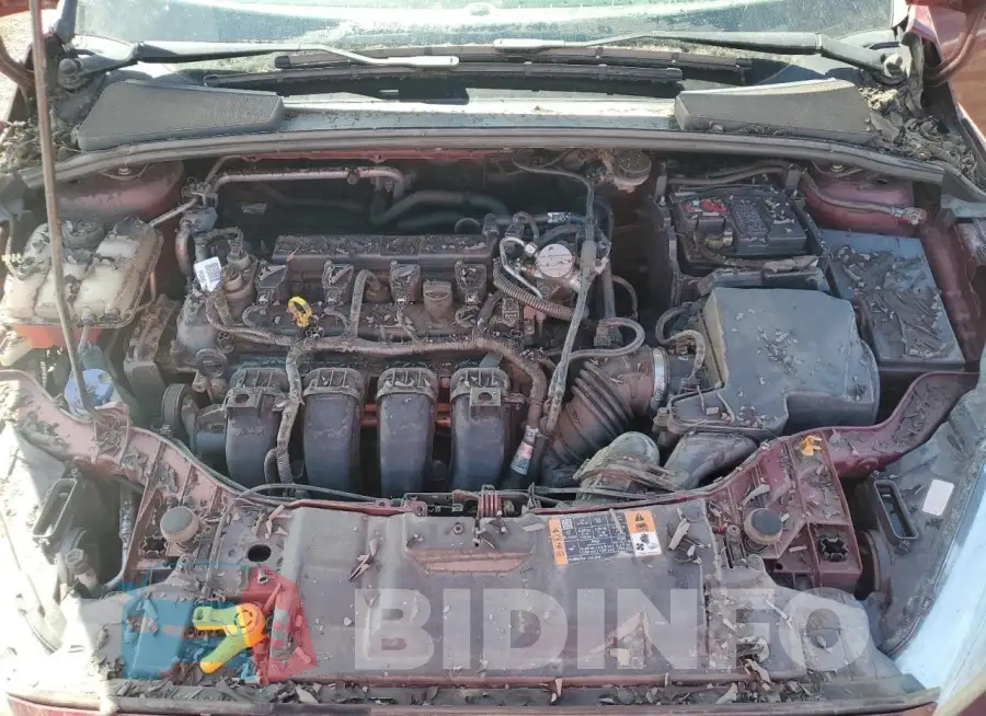1FADP3F24GL387738 Photo# 11