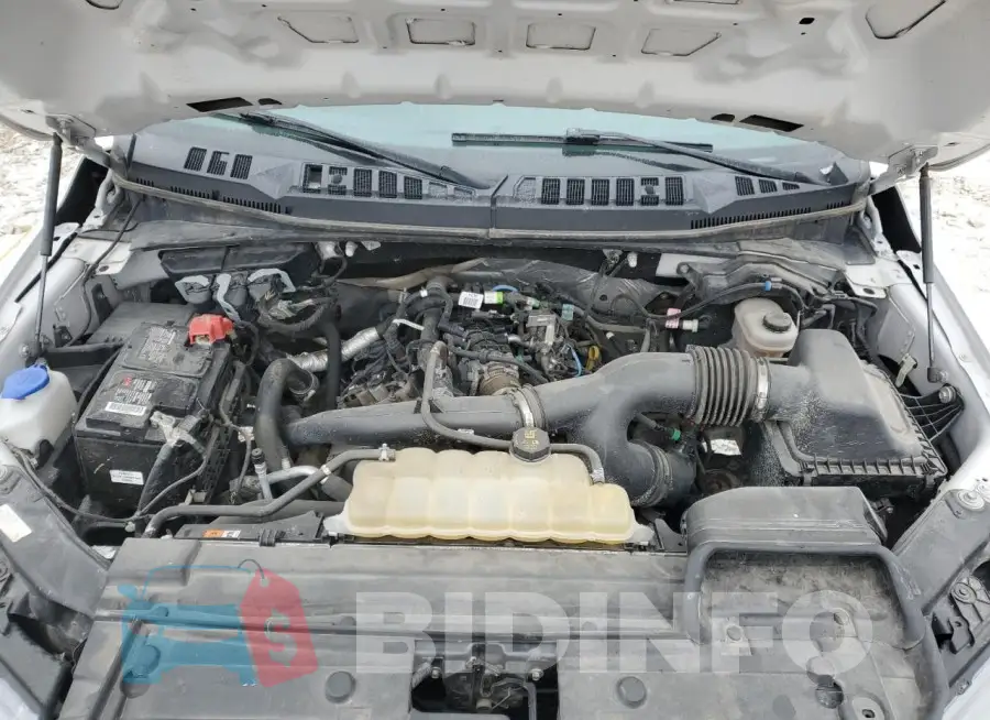 1FTEW1EP4KFD11317 Photo# 11