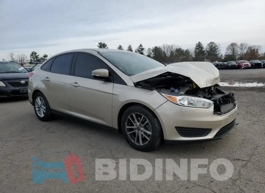 1FADP3F23HL335924 Photo# 4