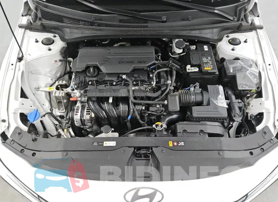 KMHLM4DG5RU672069 Photo# 11