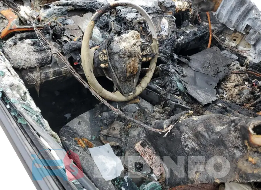 4T1G11AK8LU375158 Photo# 8
