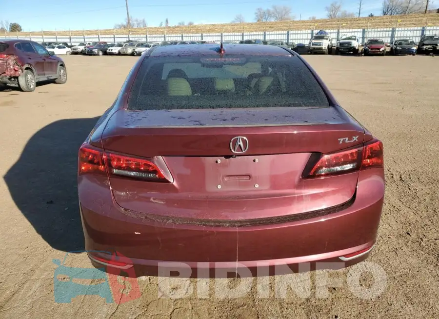 19UUB2F33GA003456 Photo# 6
