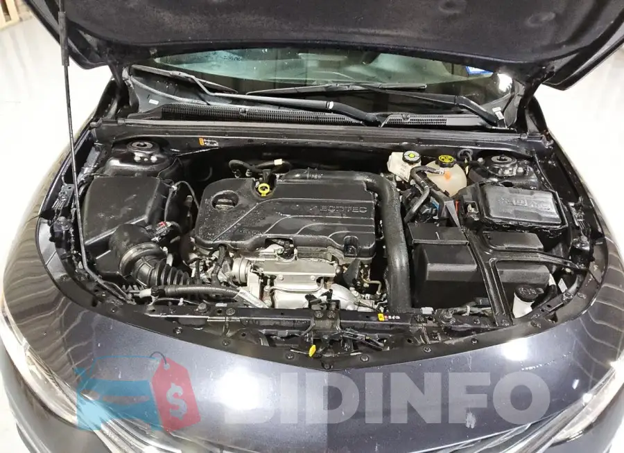 1G1ZD5ST1PF163126 Photo# 11