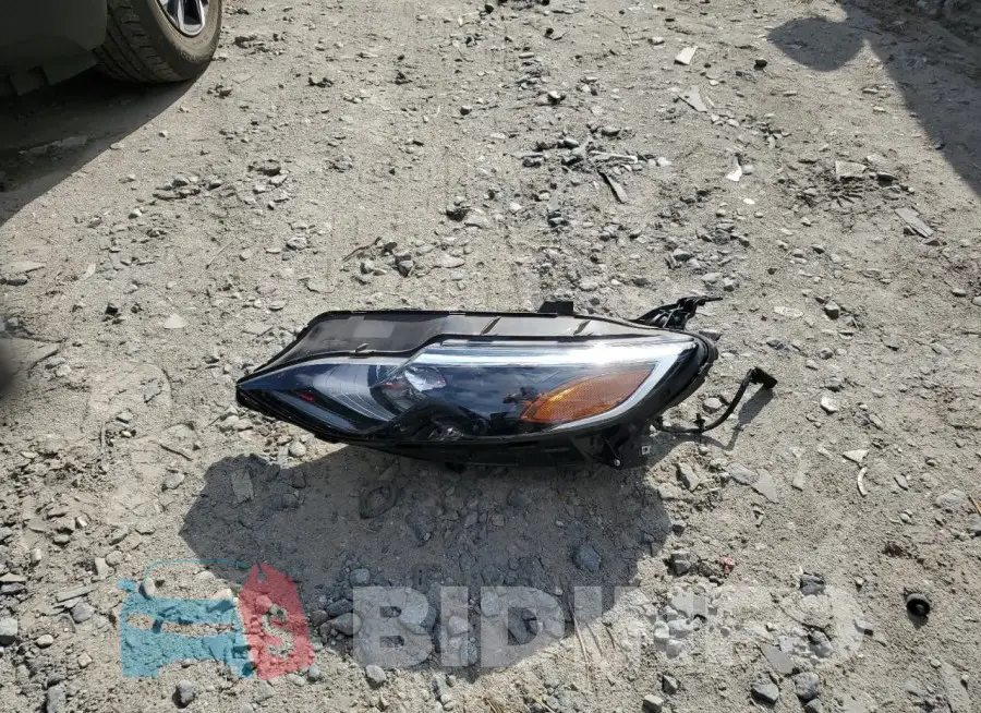 1G1ZD5ST5LF086853 Photo# 12
