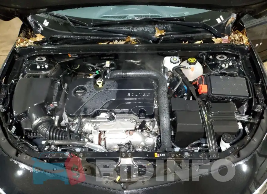 1G1ZD5ST6PF189883 Photo# 11
