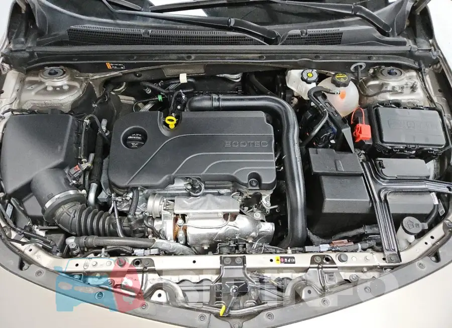 1G1ZD5ST6RF200609 Photo# 11