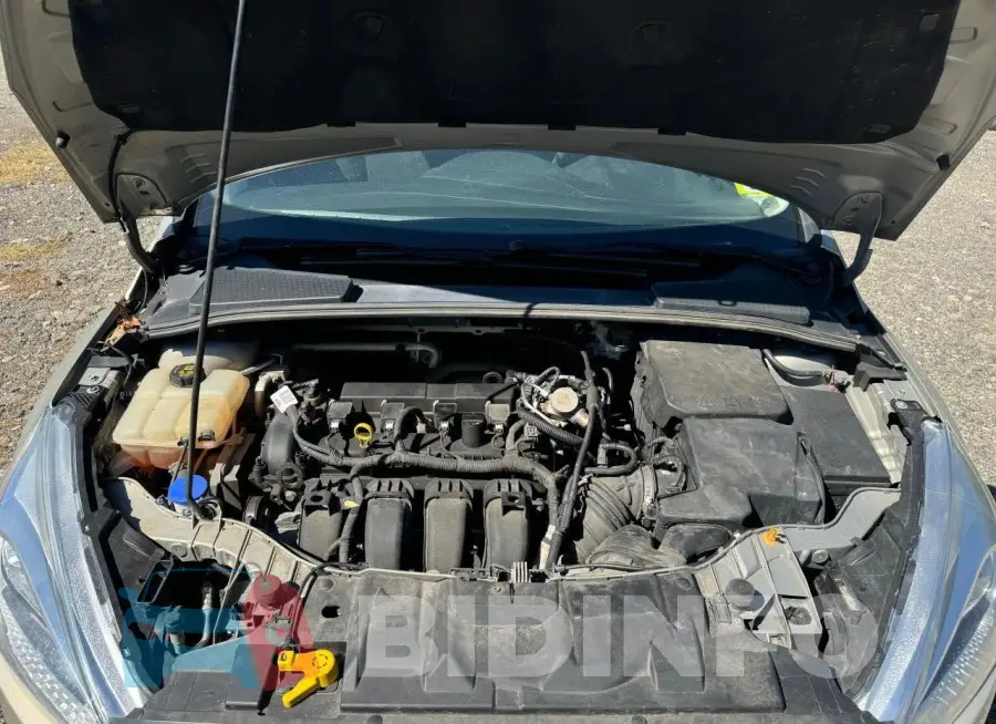 1FADP3F25GL396643 Photo# 7