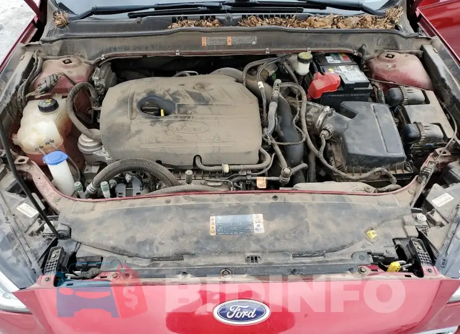 3FA6P0HD5HR299192 Photo# 11