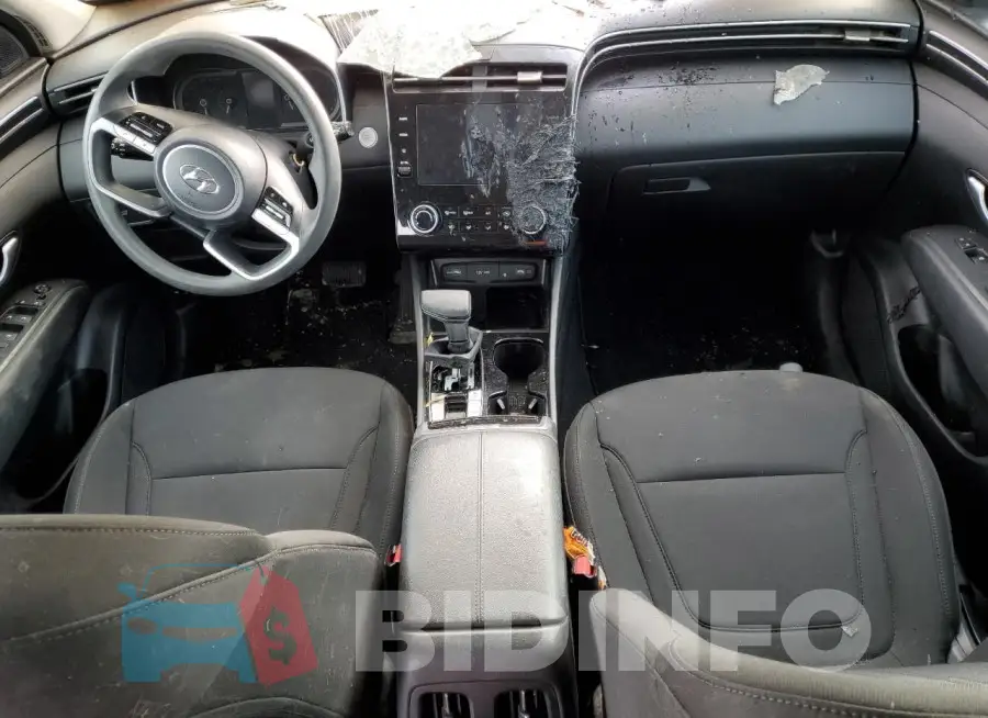 5NMJBCAEXPH188272 Photo# 8