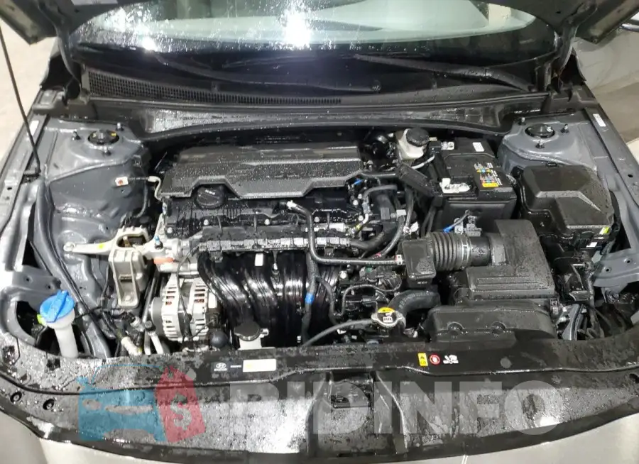 KMHLM4DG2RU650157 Photo# 11
