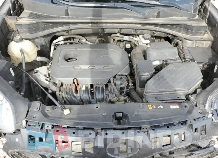 KNDPM3AC9L7782551 Photo# 11