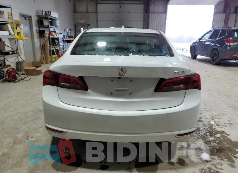 19UUB2F59HA003559 Photo# 6