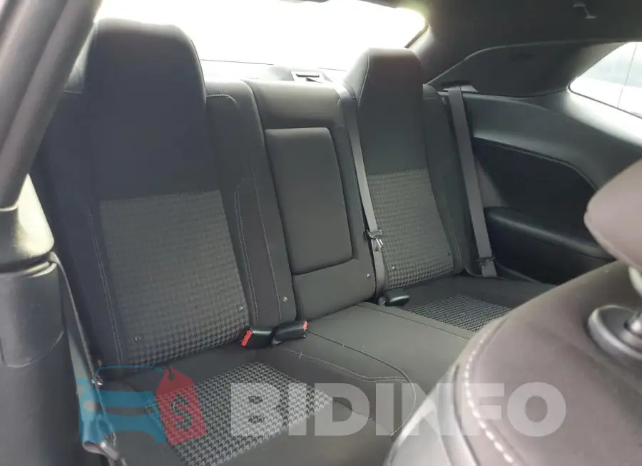 2C3CDZAG1LH109931 Photo# 10