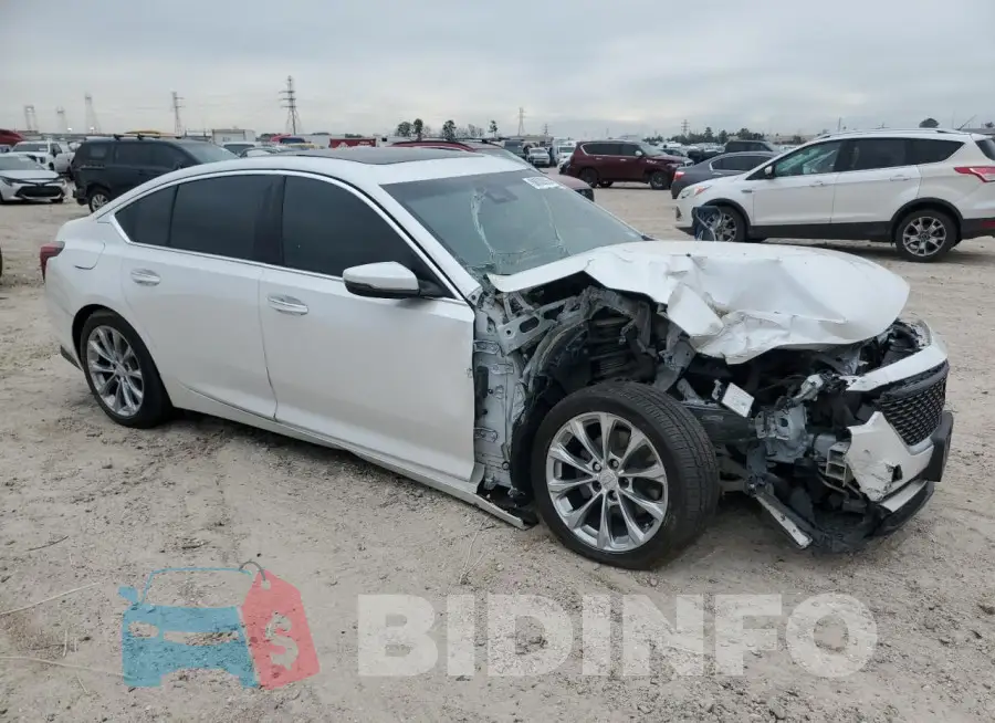 1G6DN5RW6M0108879 Photo# 4