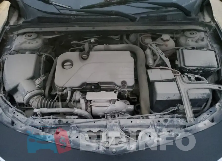 1G1ZD5ST0KF188513 Photo# 11