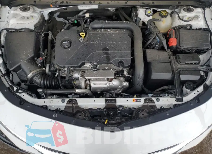 1G1ZD5ST3PF244502 Photo# 11