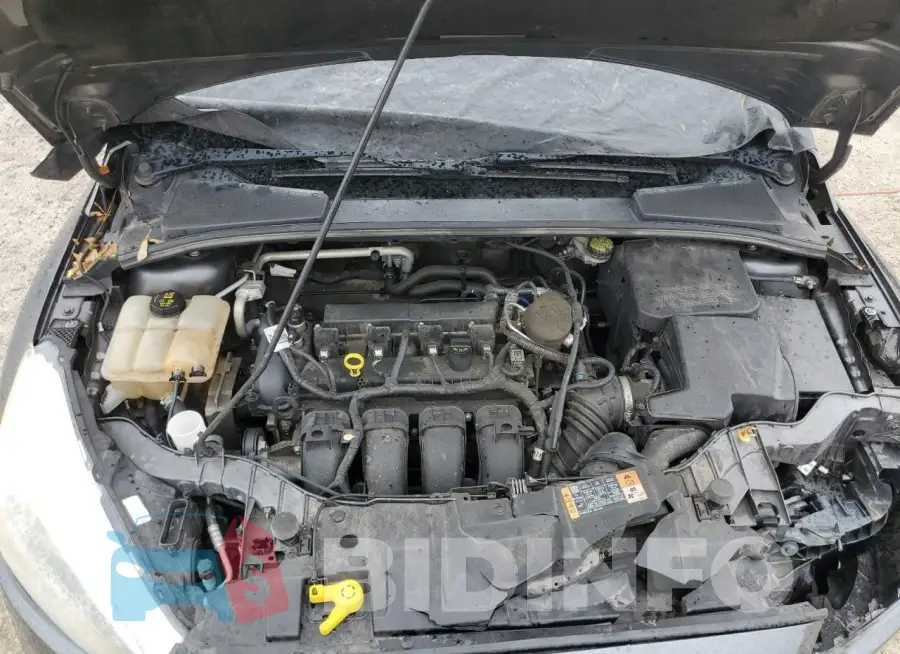 1FADP3F25GL217971 Photo# 11