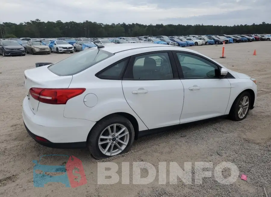 1FADP3F29HL289841 Photo# 3
