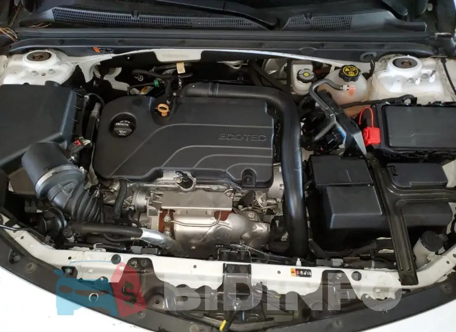 1G1ZB5ST6KF189803 Photo# 11